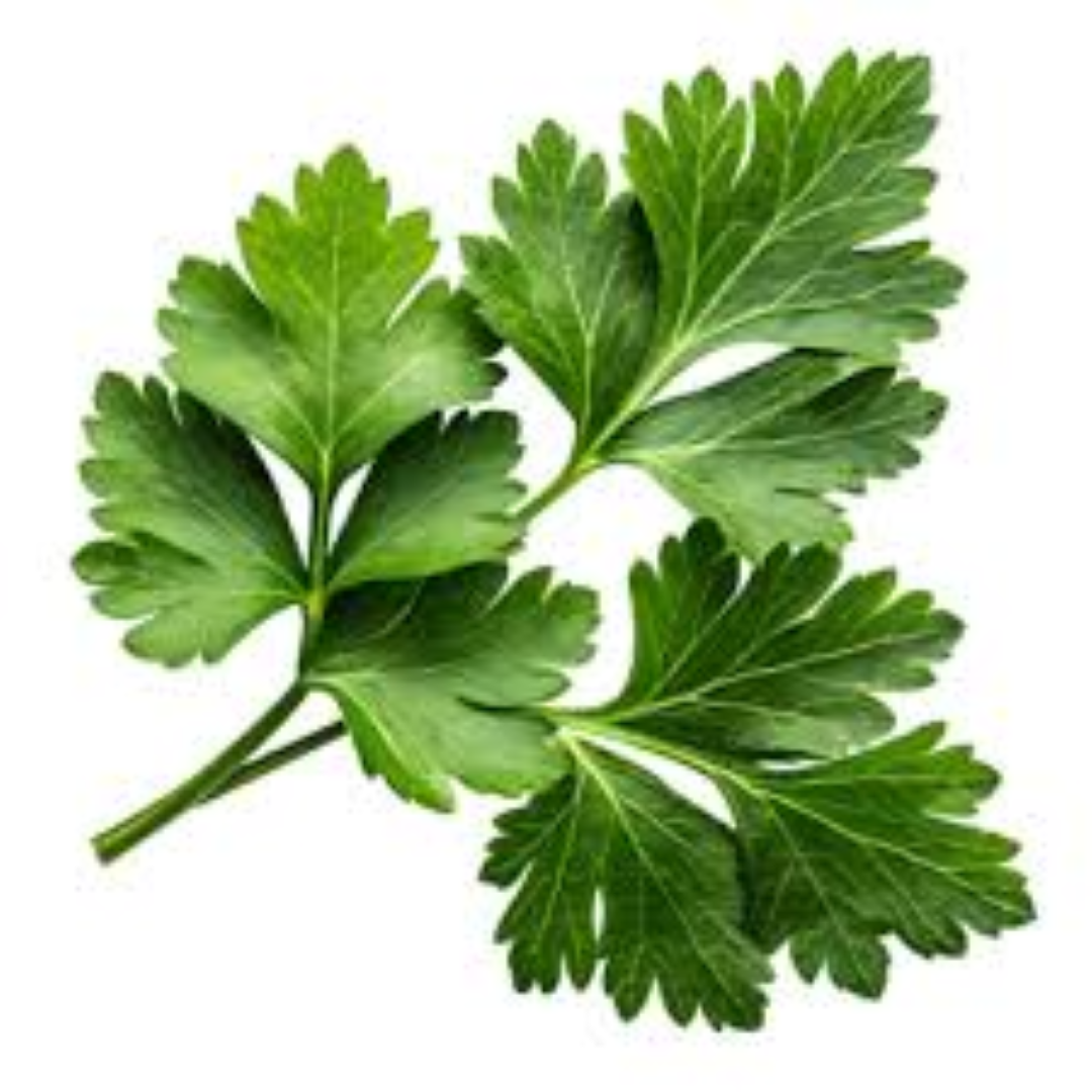 FRESH PARSLEY